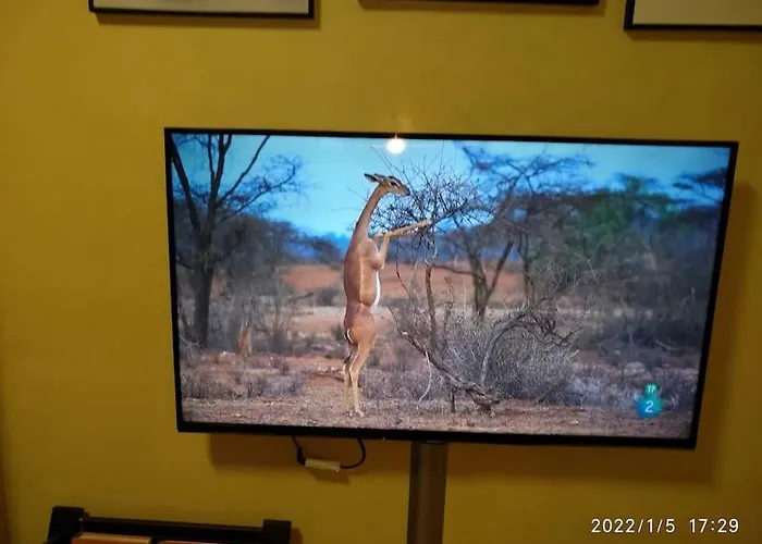 Apartment Apt 40 M2 Air Conditioning Abitacion-salon-cocina-bano Radiant Heating Vigo